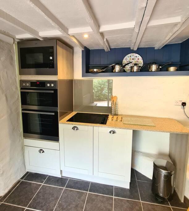 Mill Cottage Garden Annexe Newton Abbot Ngoại thất bức ảnh