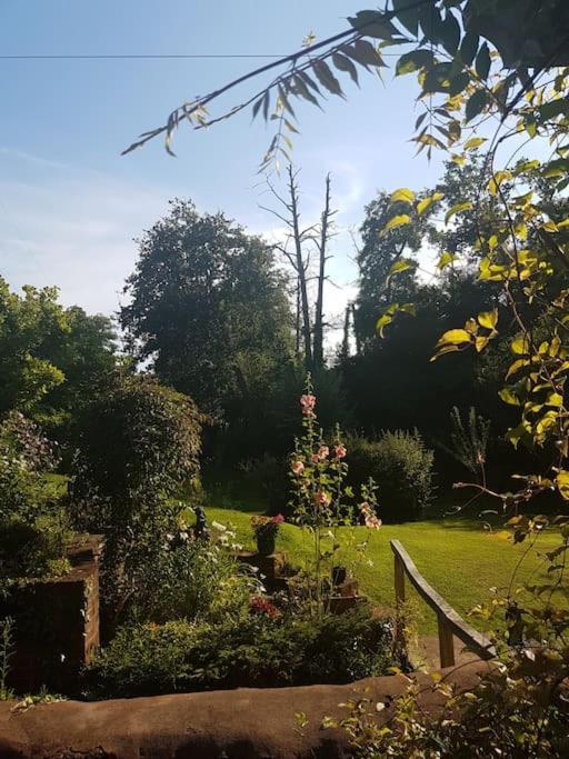 Mill Cottage Garden Annexe Newton Abbot Ngoại thất bức ảnh