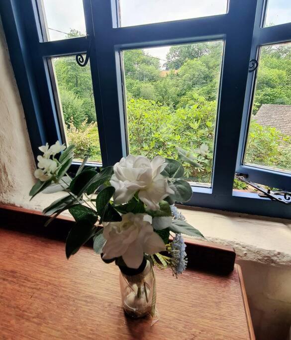 Mill Cottage Garden Annexe Newton Abbot Ngoại thất bức ảnh