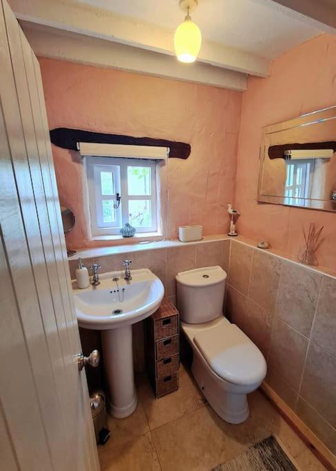 Mill Cottage Garden Annexe Newton Abbot Ngoại thất bức ảnh