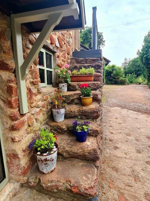 Mill Cottage Garden Annexe Newton Abbot Ngoại thất bức ảnh